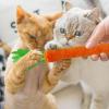 Carrot-Shaped Cat Toy with Bell and Chew Stick view 2