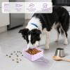 Portable Silicone Dog Bowl 500 ml view 3