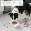 Portable Dog Bowl - Foldable, BPA-Free view 2