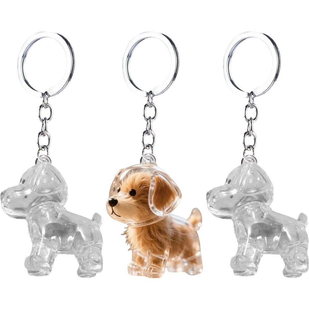 Brxmpn 3-Piece Pet Hair Keychain Set
