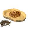 Turtle Feeding Dishes - Simulation Pet Bowl view 1