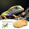 Turtle Feeding Dishes - Simulation Pet Bowl view 2