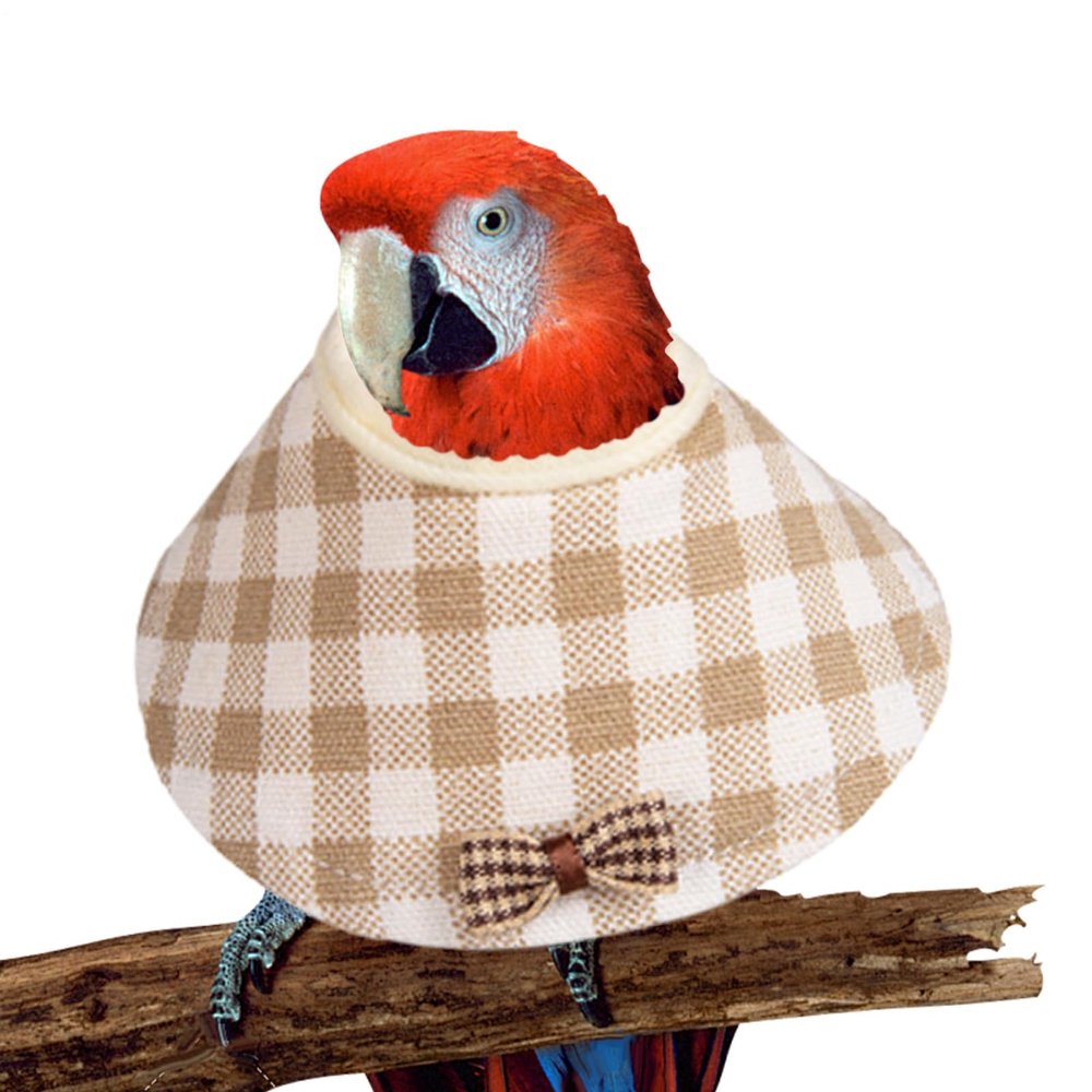 Generic Parrot Recovery Collar