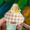 Generic Parrot Recovery Collar view 3