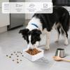 Portable Dog Bowl, Collapsible Puppy Waterer, 500ml Travel Bowl for Dogs Cats Rabbits view 2
