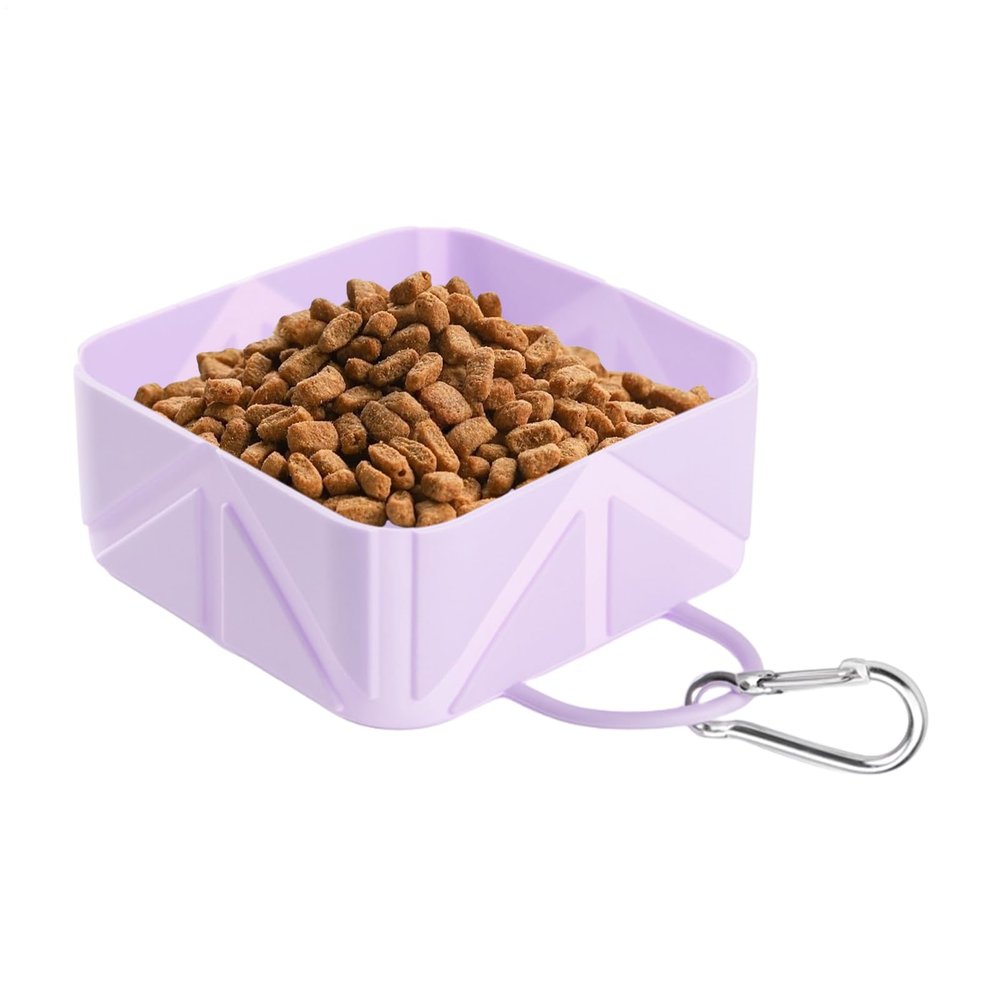 Portable Dog Bowl | Foldable Outdoor Cat Bowl | 500ml Food Container