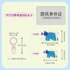 Cute Hippo-Print Bone-Shaped Acrylic Pet Tags view 4
