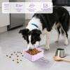 500 ml Collapsible Dog Travel Bowl view 2