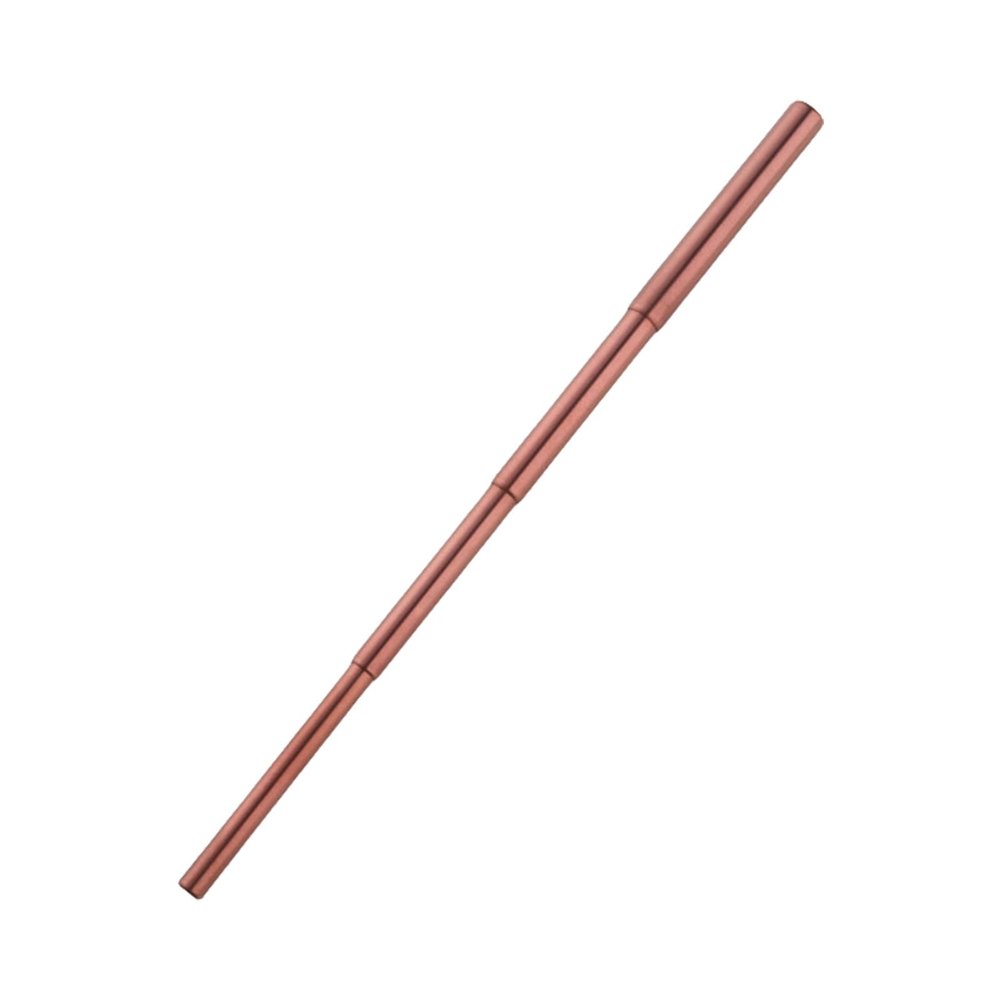 WATERBELINE Stainless Steel Telescopic Straw Brush, 4 Sections, Adjustable Length