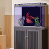 Generic Aquarium Poster Background view 2