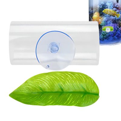 Betta Acrylic Tube with Leaf Pad