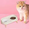 Raised Ceramic Double Pet Bowl Station view 3