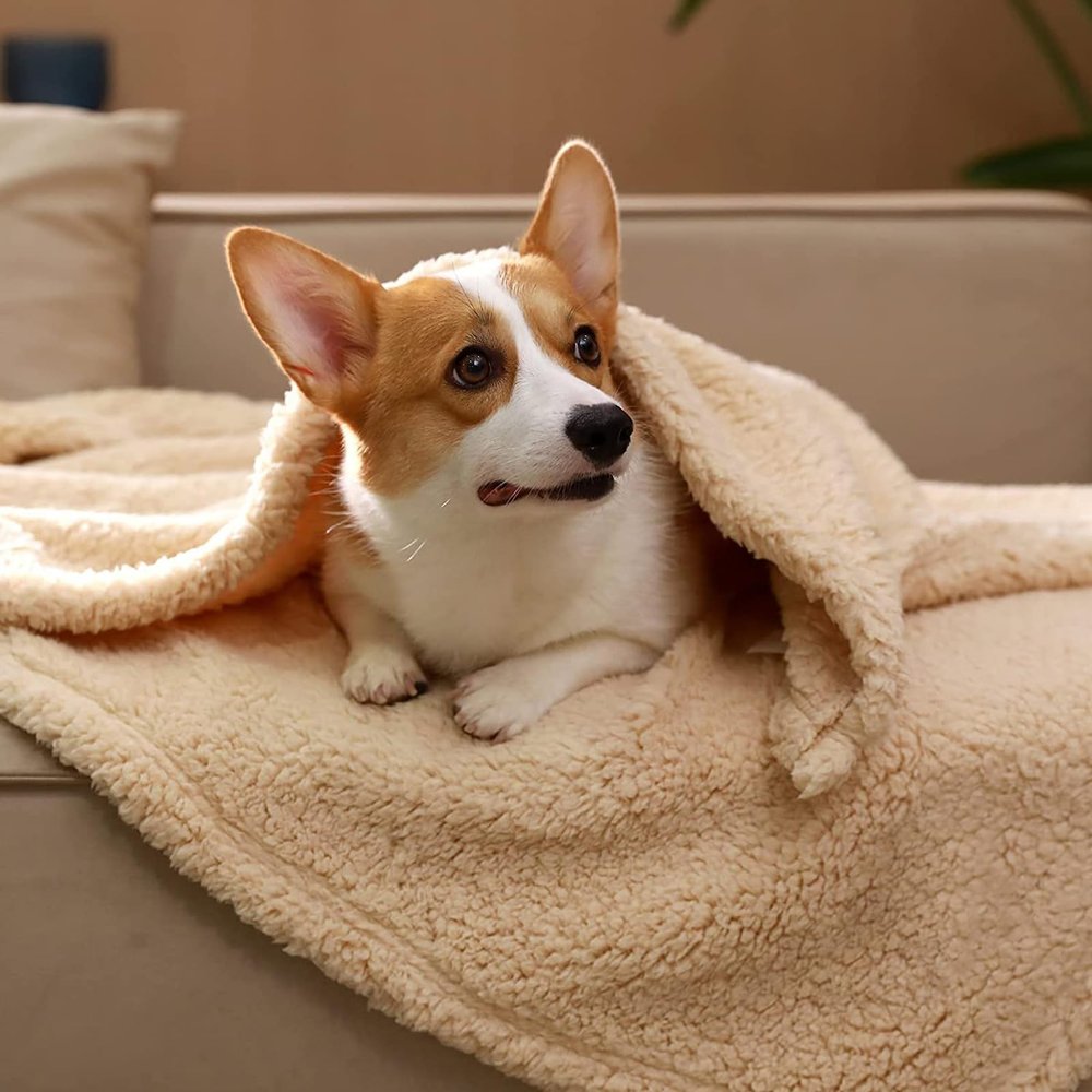 Swsen Waterproof Dog Blanket 60 x 80 cm, Soft Reversible Pet Blanket, Scratch-Resistant & Machine Washable, Beige