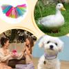 Chicken Costume - Fun Pet Dress view 4