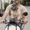 Dog Helmet - Pet Helmet, Windproof Breathable Protective Helmet for Sun, Riding, Hiking, Biking view 2
