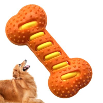 Gnrique Dog Squeaky Toy | Bone Chew Toy for Dogs