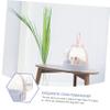 BAZEITFLOW Portable Hamster Carrier, Transparent Outdoor Travel Cage view 4