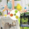 Interactive Parrot Training and Activity Toy view 4