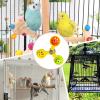 Dgayaeic Parrot Toy - Rotating Ball for Birdcage view 4
