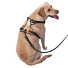 Botanical Print Dog Harness, Boho, No-Pull, Adjustable, Reflective Oxford, Easy Control, Sizes M and L view 2