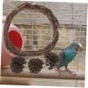 COMPUKAS Bird Cage Swing with Movable Hook view 3