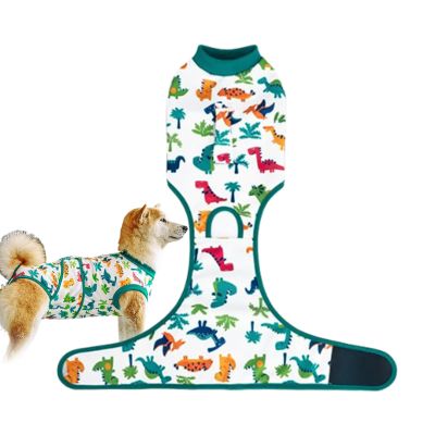 Recovery Suit for Male Dogs, Anti-Lick Protective Clothing