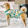 Recovery Suit for Male Dogs, Anti-Lick Protective Clothing view 3