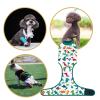 Recovery Suit for Male Dogs, Anti-Lick Protective Clothing view 4