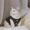 frissin Soft Cozy Cat Clothing, Fleece Winter Warm Lambswool Vest Sweatshirt view 3