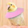 Protective Collar for Hamsters and Rabbits – Adjustable Anti-Licking Collar for Cats, Rabbits and Ferrets view 2