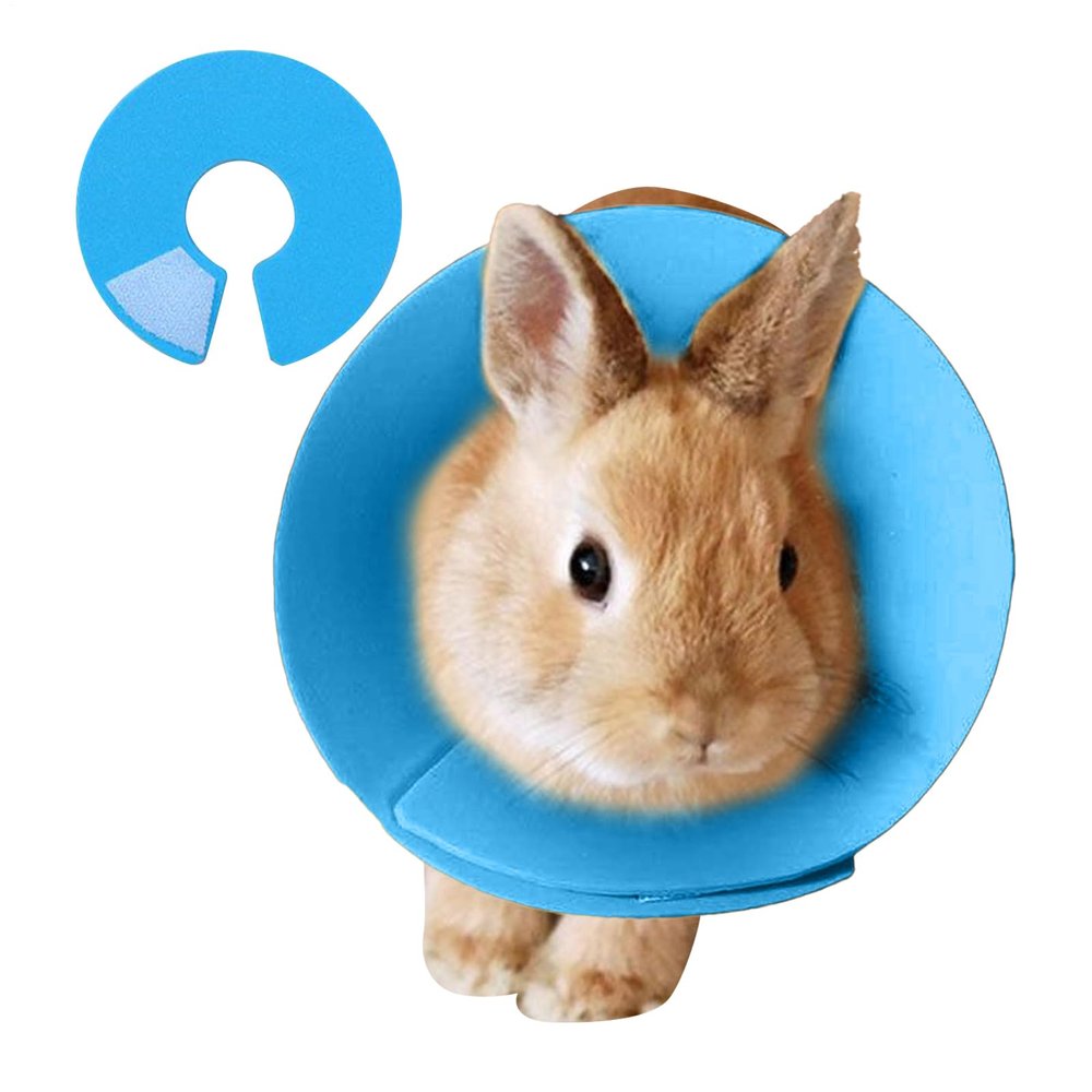 Hamster Anti-Bite Recovery Collar, Adjustable Wound Protection