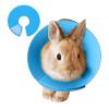 Hamster Cone Collar for Comfortable Bite and Wound Protection view 1