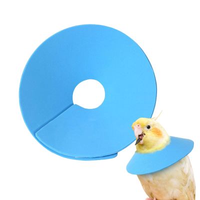Pet Cone Collar for Bite and Wound Protection