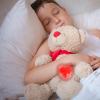 Sleep Rhythm Box for Pets view 3