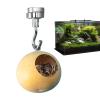 Jumping Spider Habitat - Miniature Terrarium view 1