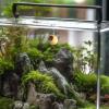 Jumping Spider Habitat - Miniature Terrarium view 2
