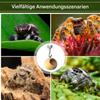 Jumping Spider Habitat - Miniature Terrarium view 4