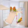 Posciend Bird Cage Toy and Parrot Training Stand with Ladder and Mirror view 4