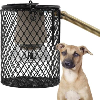 Hanging Heating Lamp for Dog Houses with Timer