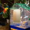 Bird Cage Heater with Anti-Scald Protection view 2