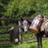 Feed Bag Hay Net view 2