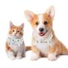 Dog Collar with Bow Tie and Bell, Seahorse, Fish and Crab Patterns, Adjustable Lapel Design, 2-Pack view 2
