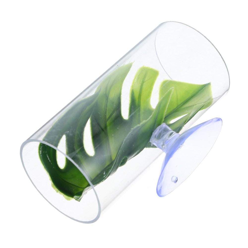 PENIKOKO Transparent Acrylic Betta Tunnel with Sturdy Construction and Multifunctional Design