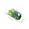 PENIKOKO Transparent Acrylic Betta Tunnel with Sturdy Construction and Multifunctional Design view 2