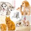 2-in-1 Automatic Cat Feeder and Water Dispenser Set, 800 mL Water and 1,800 mL Food view 3