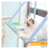 WAFOHSR Cat Window Hammock, 18 kg Capacity view 3