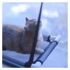 WAFOHSR Hanging Cat Bed view 3
