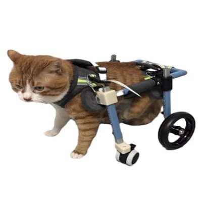 Pet Wheelchair for Dogs and Cats