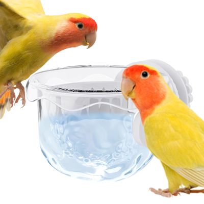 Filvczt Bird Bowl