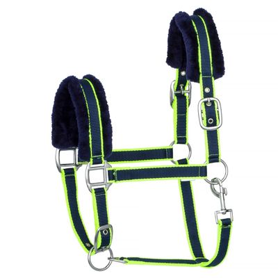 Start Adjustable Padded Horse Halter, Durable Nylon, Dark Blue/Green, Full (Warmblood)